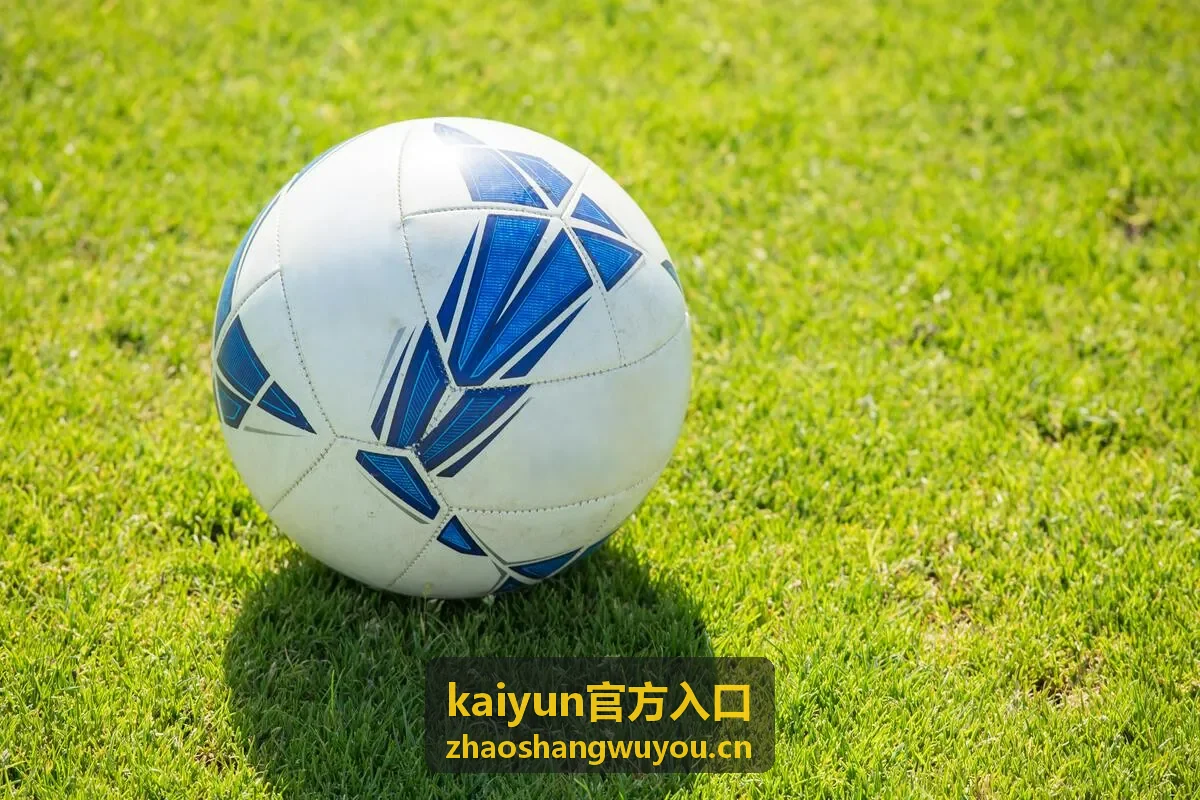 kaiyun官方入口 进阶档等级权益说明配图